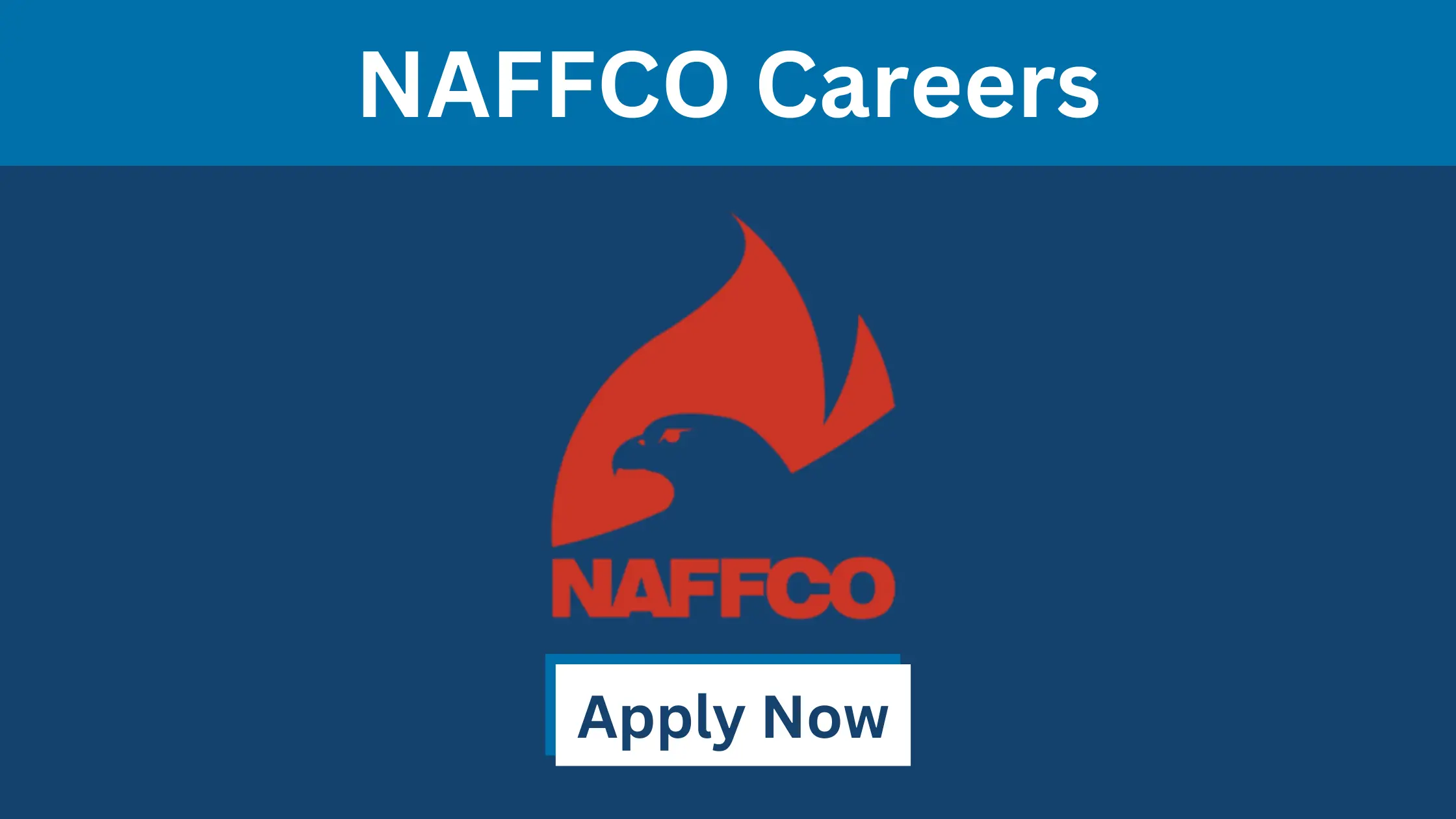 NAFFCO Careers in UAE